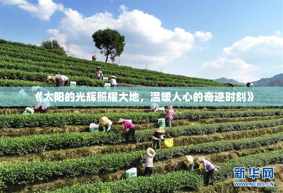 《太阳的光辉照耀大地，温暖人心的奇迹时刻》