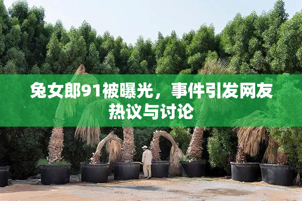 兔女郎91被曝光，事件引发网友热议与讨论