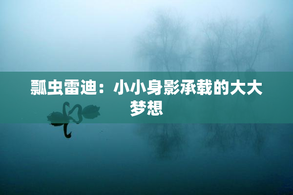 瓢虫雷迪：小小身影承载的大大梦想