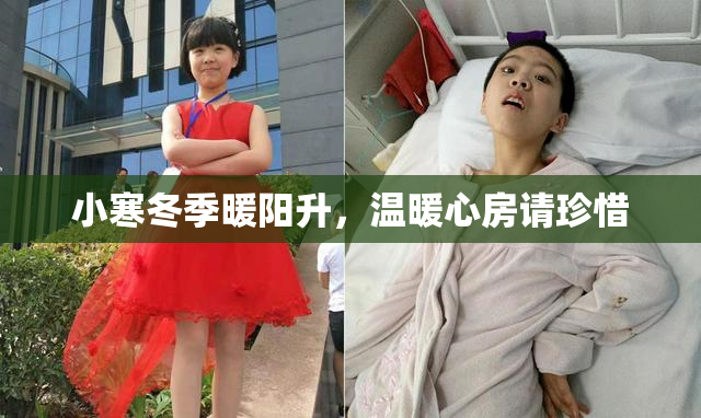 小寒冬季暖阳升，温暖心房请珍惜