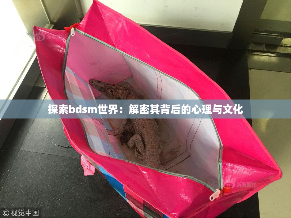 探索bdsm世界：解密其背后的心理与文化