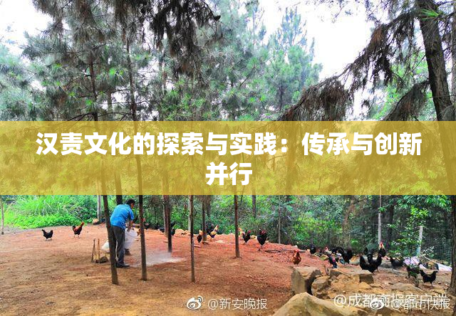 汉责文化的探索与实践：传承与创新并行