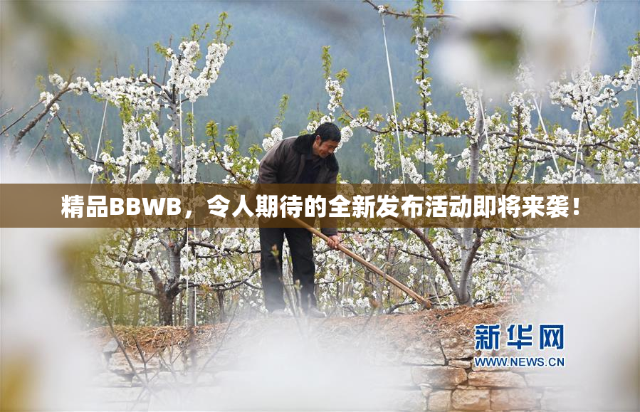 精品BBWB，令人期待的全新发布活动即将来袭！