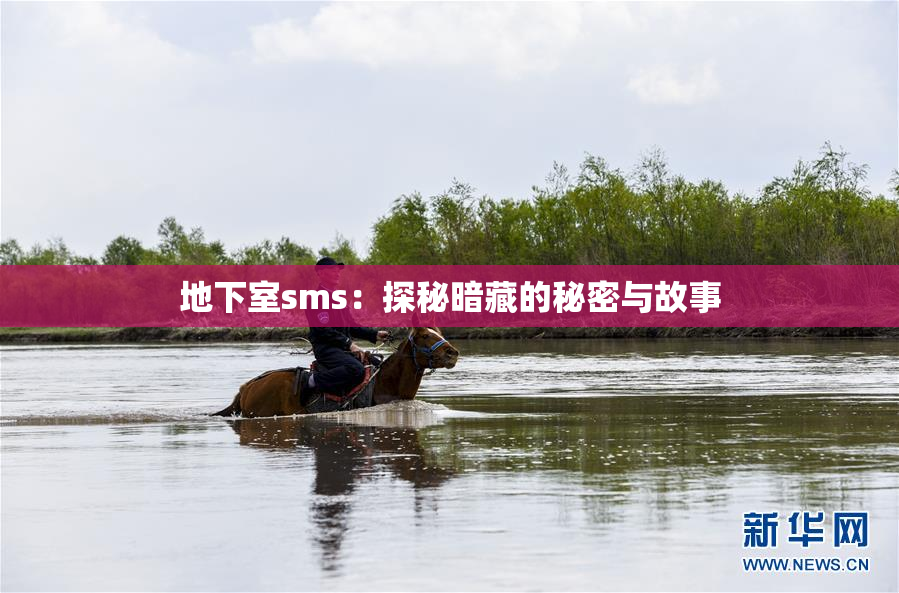 地下室sms：探秘暗藏的秘密与故事