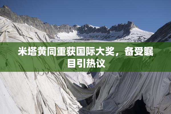 米塔黄同重获国际大奖，备受瞩目引热议