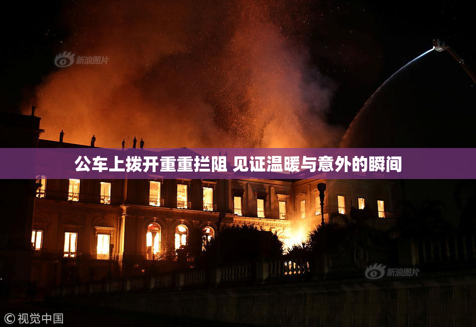 公车上拨开重重拦阻 见证温暖与意外的瞬间
