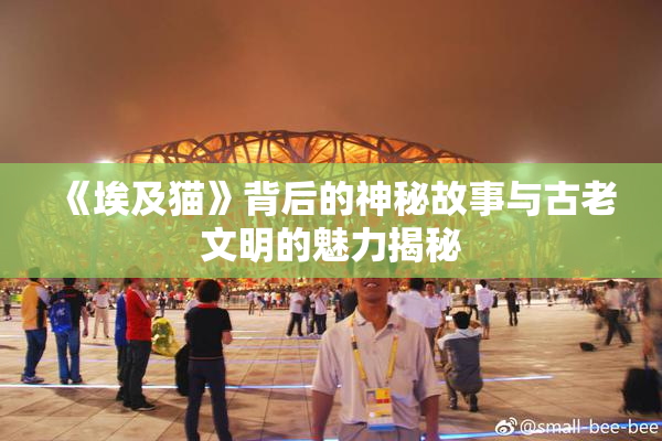 《埃及猫》背后的神秘故事与古老文明的魅力揭秘