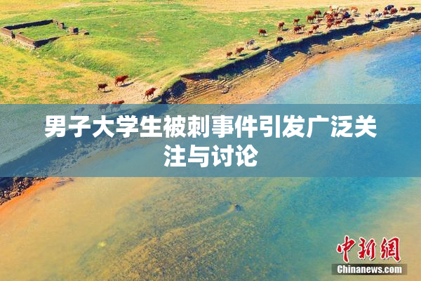 男子大学生被刺事件引发广泛关注与讨论