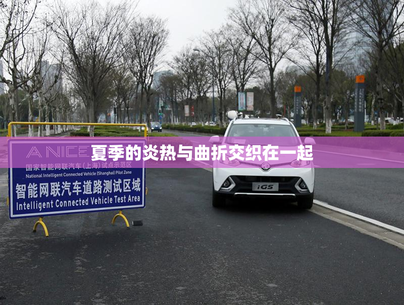 夏季的炎热与曲折交织在一起