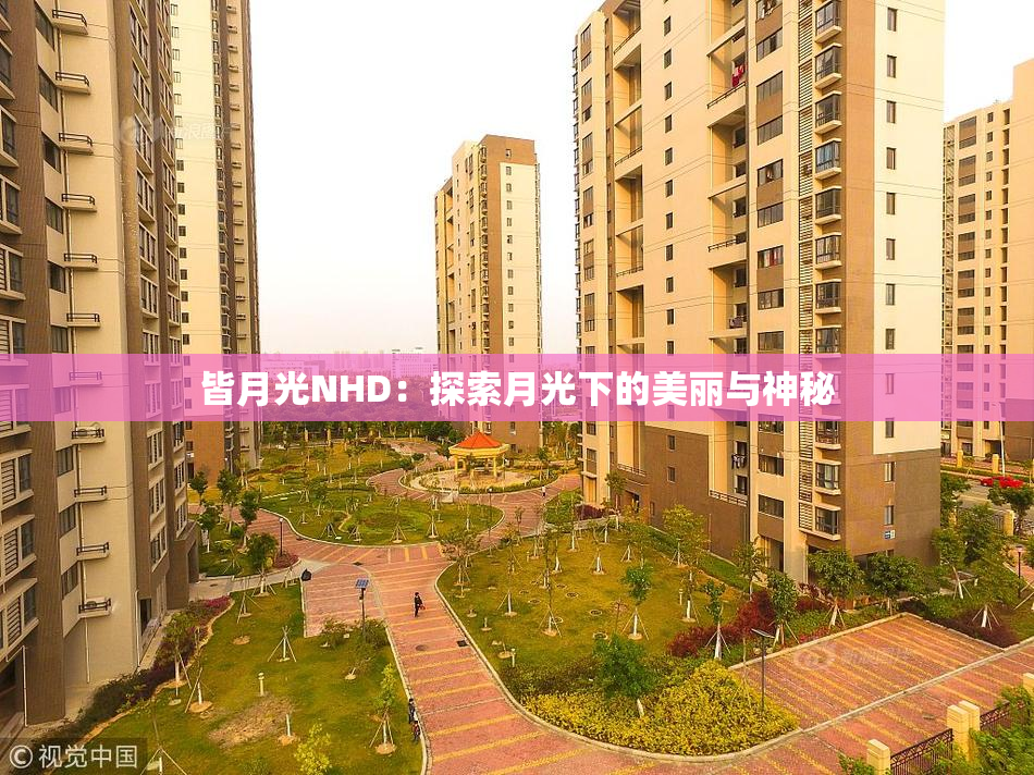 皆月光NHD：探索月光下的美丽与神秘