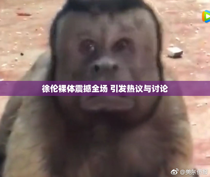 徐伦裸体震撼全场 引发热议与讨论