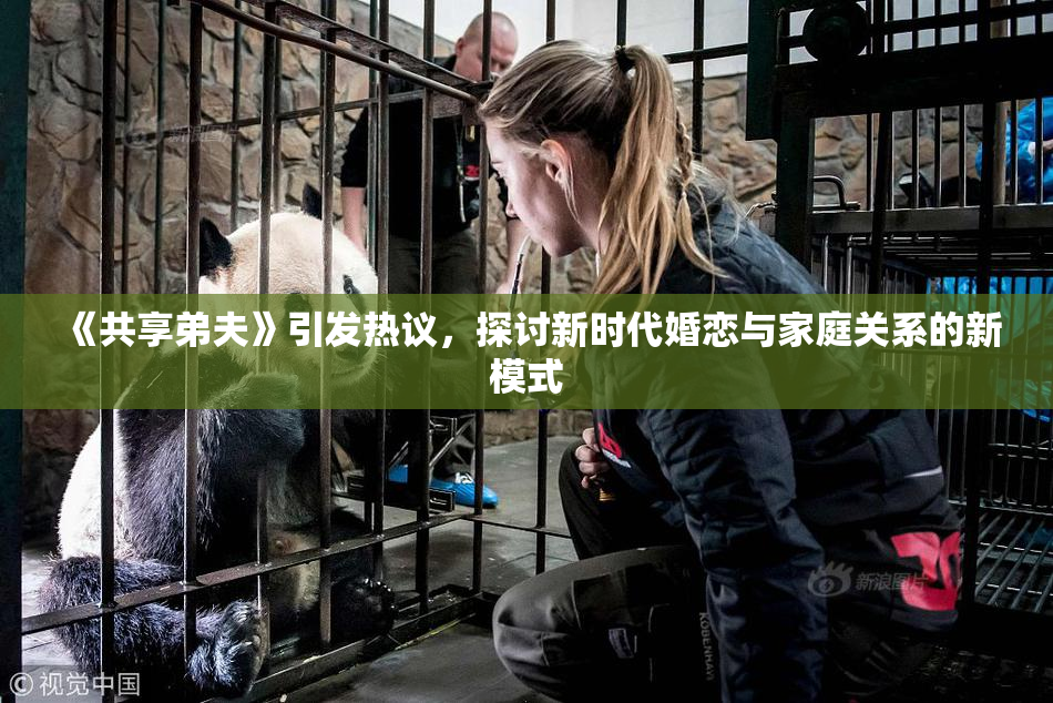 《共享弟夫》引发热议，探讨新时代婚恋与家庭关系的新模式