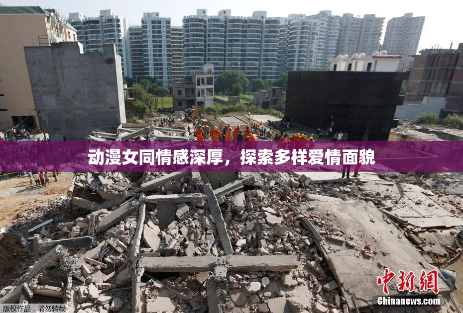 动漫女同情感深厚，探索多样爱情面貌