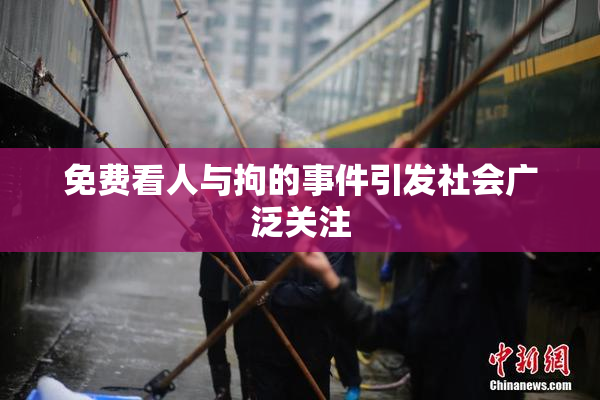 免费看人与拘的事件引发社会广泛关注