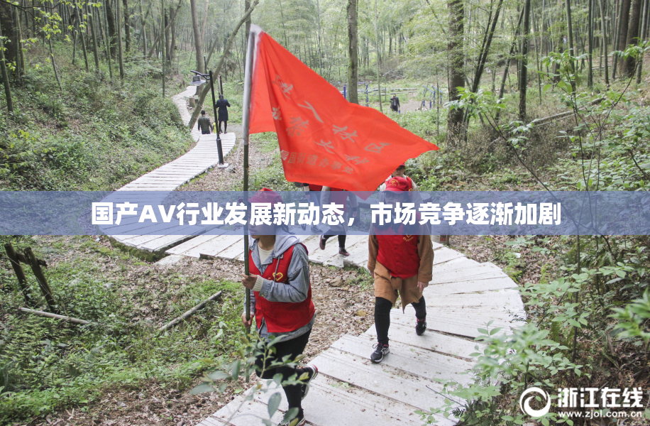 国产AV行业发展新动态，市场竞争逐渐加剧