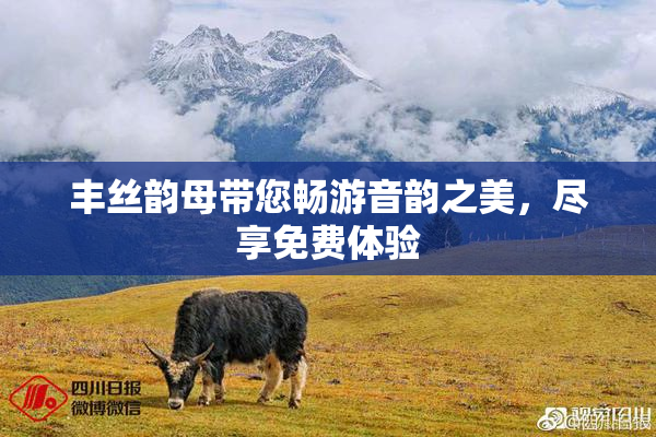 丰丝韵母带您畅游音韵之美，尽享免费体验