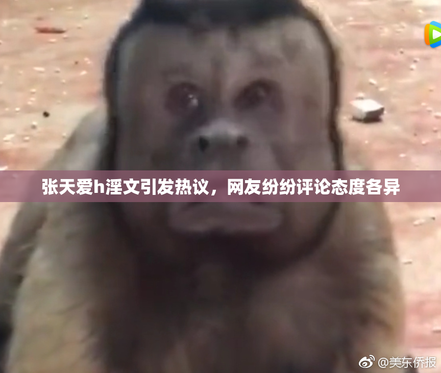 张天爱h淫文引发热议，网友纷纷评论态度各异