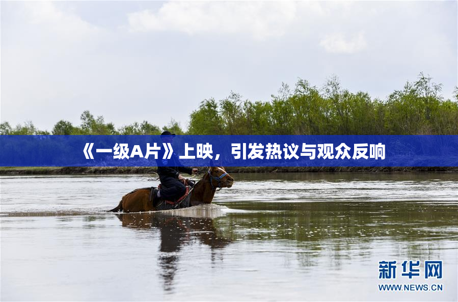 《一级A片》上映，引发热议与观众反响