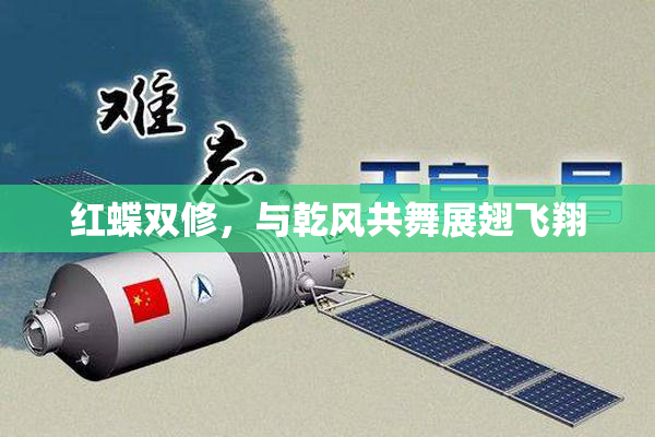 红蝶双修，与乾风共舞展翅飞翔