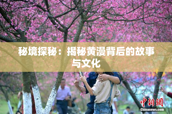 秘境探秘：揭秘黄漫背后的故事与文化