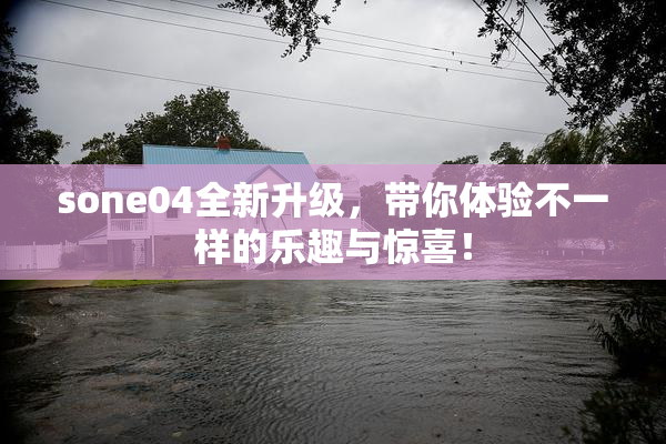 sone04全新升级，带你体验不一样的乐趣与惊喜！