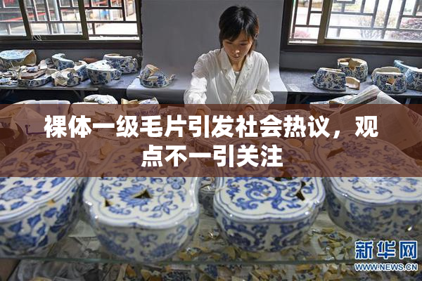 裸体一级毛片引发社会热议，观点不一引关注