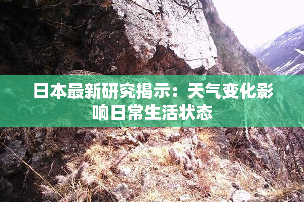 日本最新研究揭示：天气变化影响日常生活状态