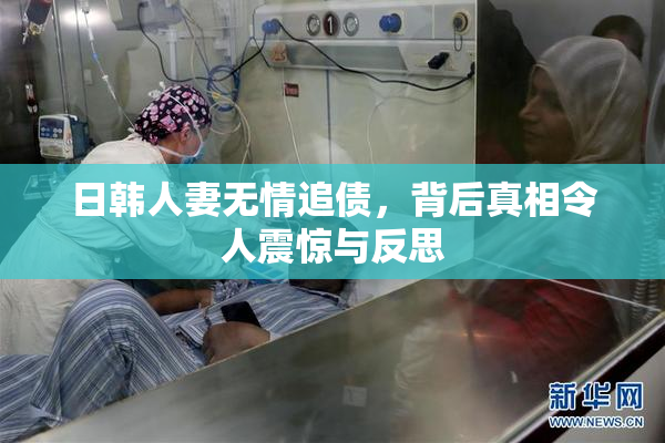 日韩人妻无情追债，背后真相令人震惊与反思