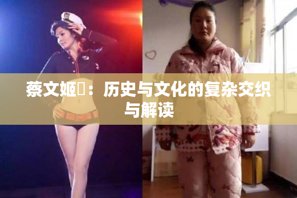 蔡文姬婬：历史与文化的复杂交织与解读