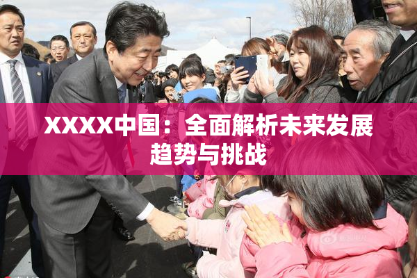 XXXX中国：全面解析未来发展趋势与挑战