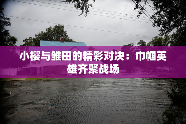 小樱与雏田的精彩对决：巾帼英雄齐聚战场