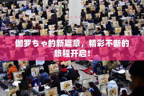 伽罗ちゃ的新篇章，精彩不断的旅程开启！