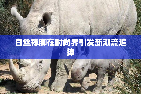 白丝袜脚在时尚界引发新潮流追捧