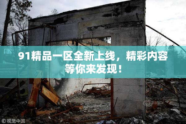 91精品一区全新上线，精彩内容等你来发现！