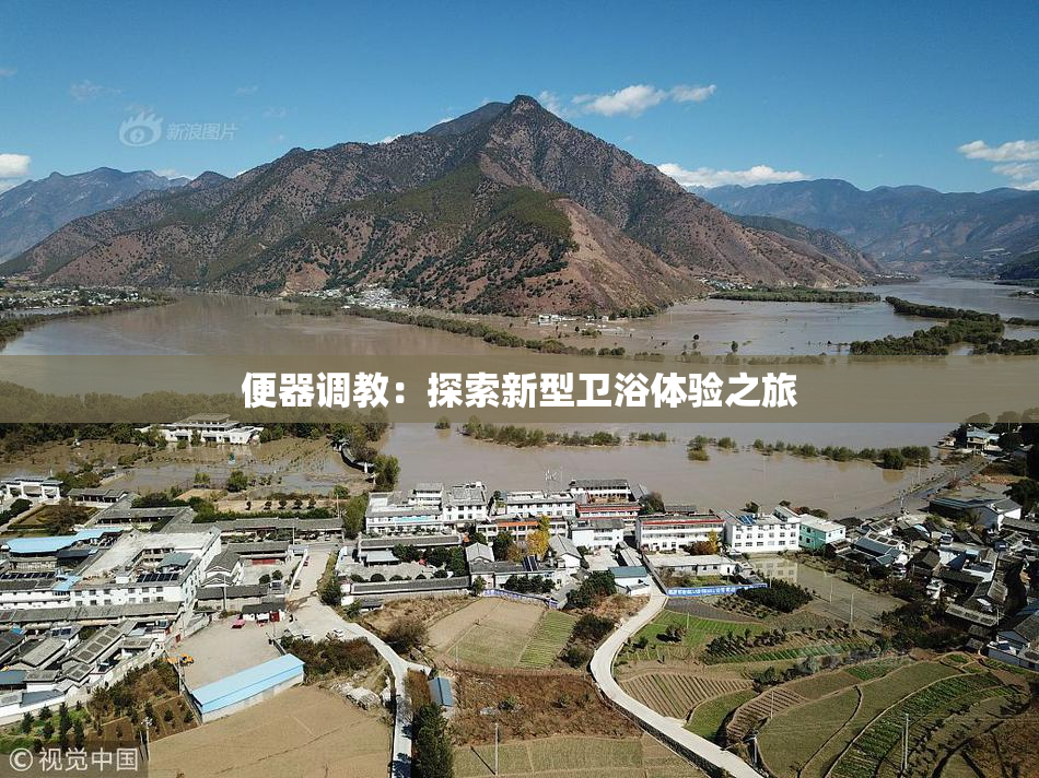 便器调教：探索新型卫浴体验之旅