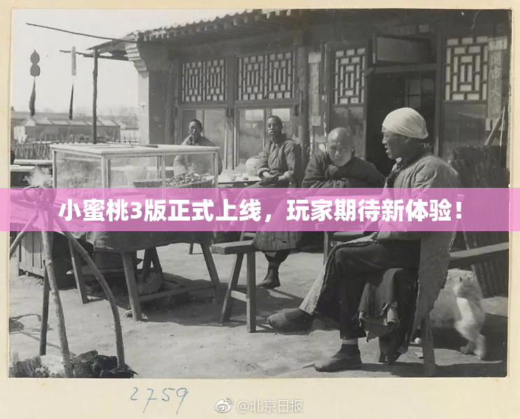 小蜜桃3版正式上线，玩家期待新体验！