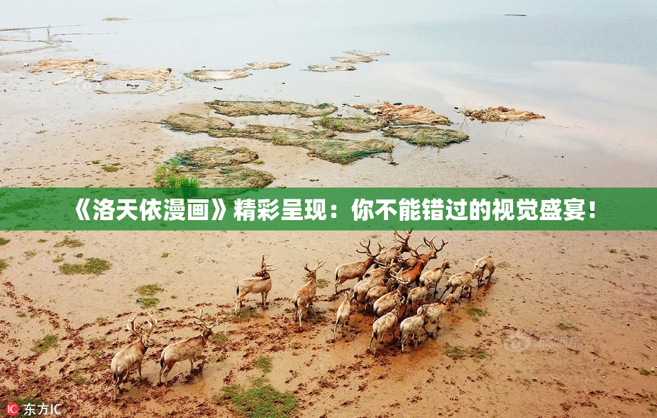 《洛天依漫画》精彩呈现：你不能错过的视觉盛宴！