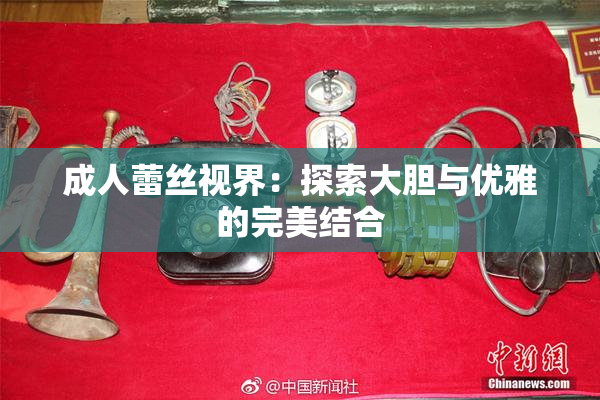 成人蕾丝视界：探索大胆与优雅的完美结合