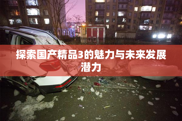 探索国产精品3的魅力与未来发展潜力