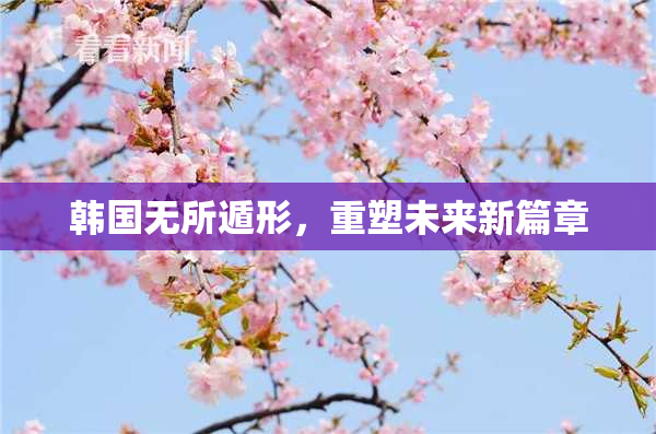 韩国无所遁形，重塑未来新篇章
