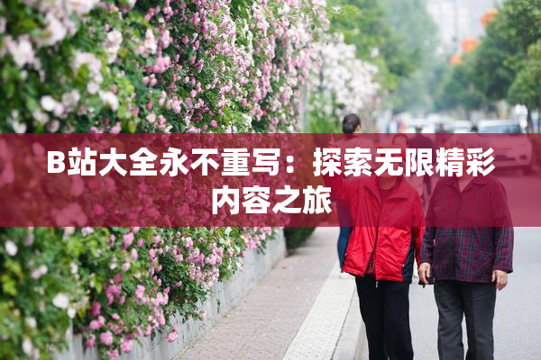 B站大全永不重写：探索无限精彩内容之旅