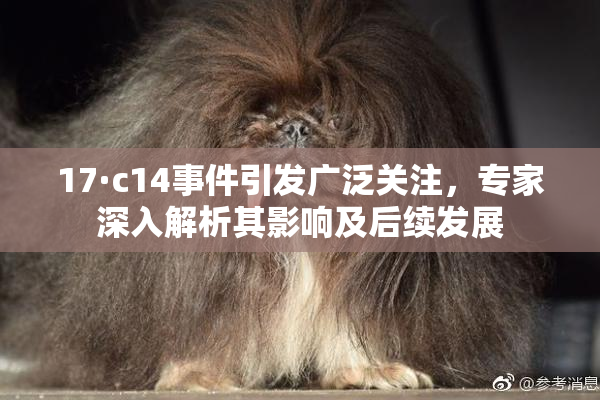 17·c14事件引发广泛关注，专家深入解析其影响及后续发展