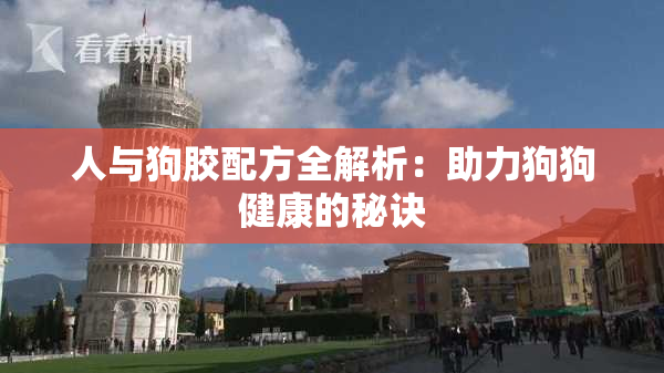 人与狗胶配方全解析：助力狗狗健康的秘诀
