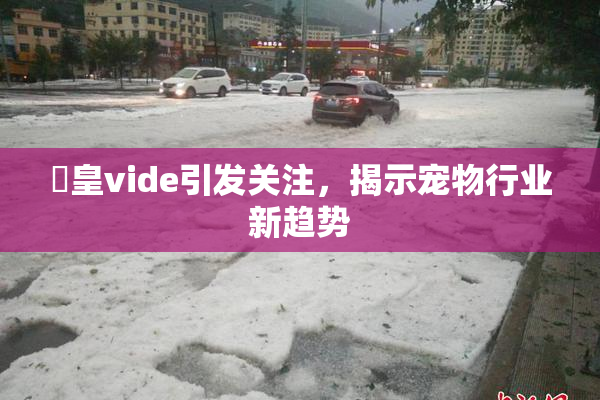 嘼皇vide引发关注，揭示宠物行业新趋势