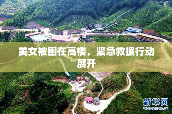 美女被困在高楼，紧急救援行动展开