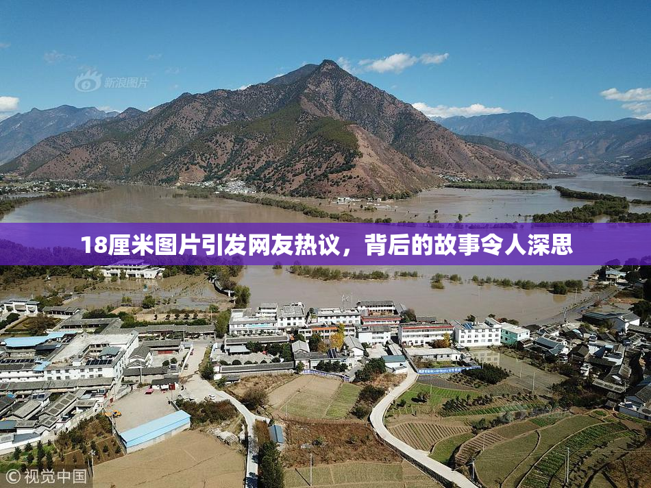 18厘米图片引发网友热议，背后的故事令人深思