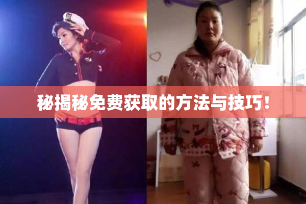 秘揭秘免费获取的方法与技巧！