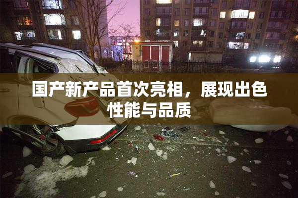 国产新产品首次亮相，展现出色性能与品质