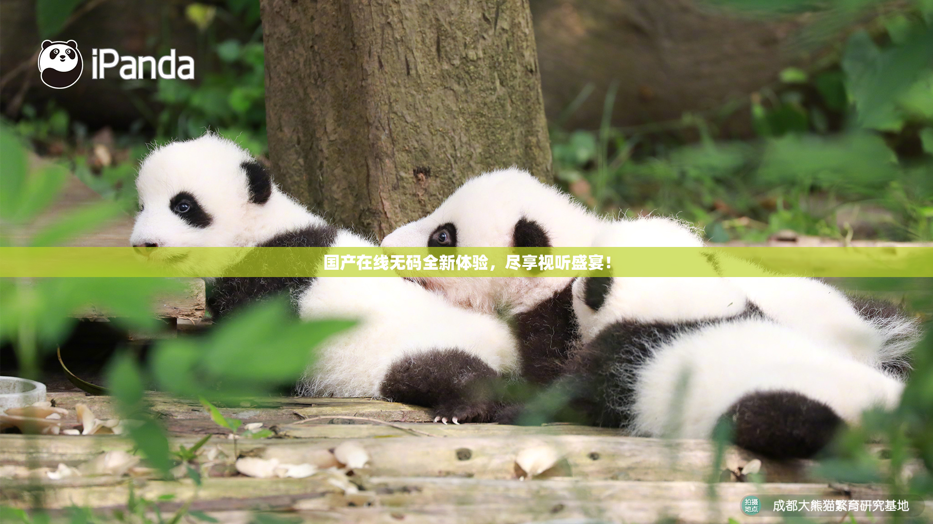 国产在线无码全新体验，尽享视听盛宴！