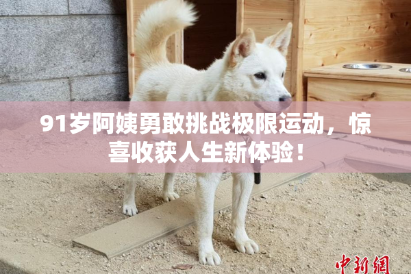 91岁阿姨勇敢挑战极限运动，惊喜收获人生新体验！